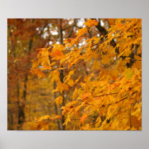 Autumn Leaves Poster