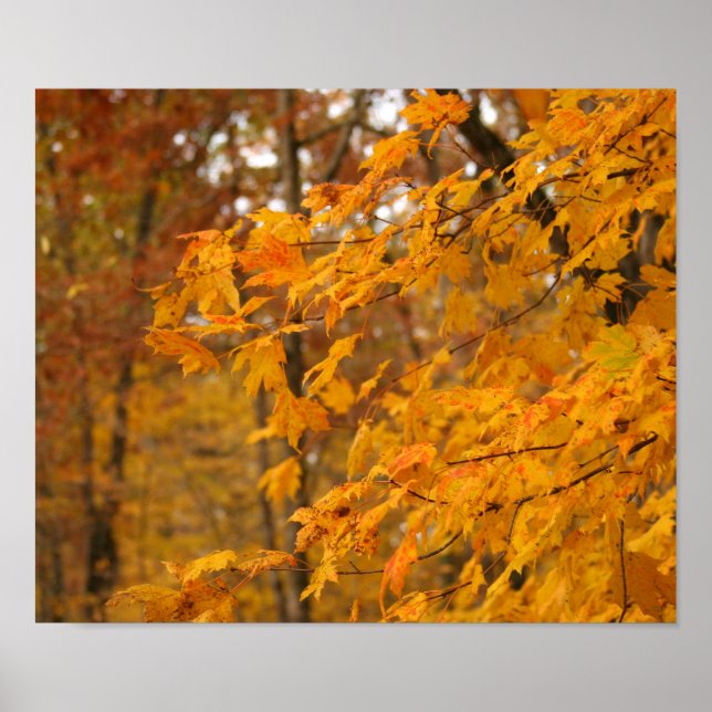 Autumn Leaves Poster (Front)