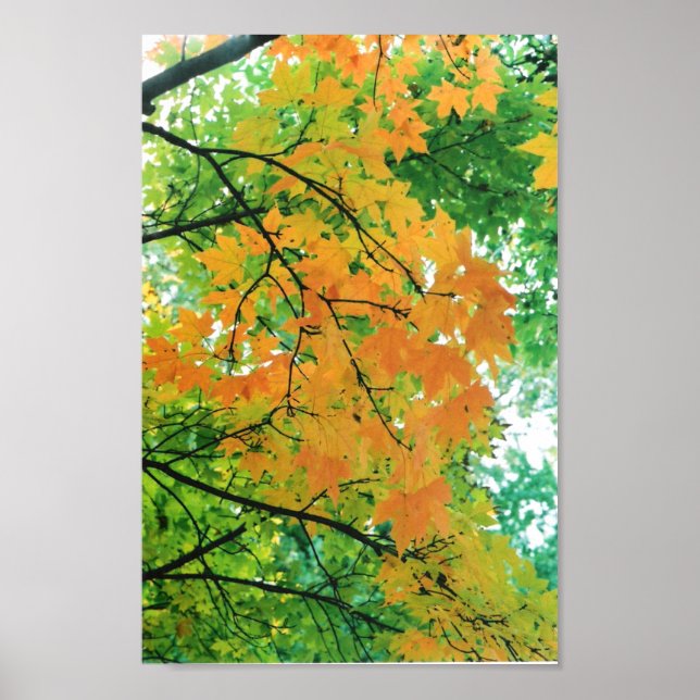 Autumn Leaves Poster (Front)