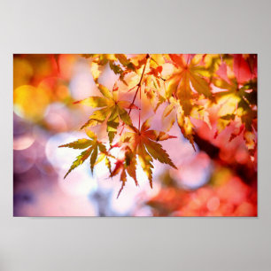Autumn Leaves Poster