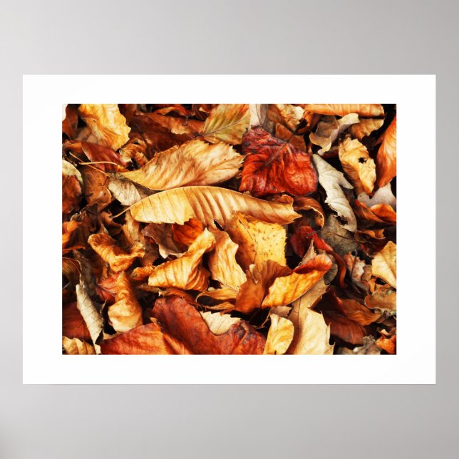 Autumn leaves poster (Front)