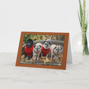 Autumn Leaves Pug Card