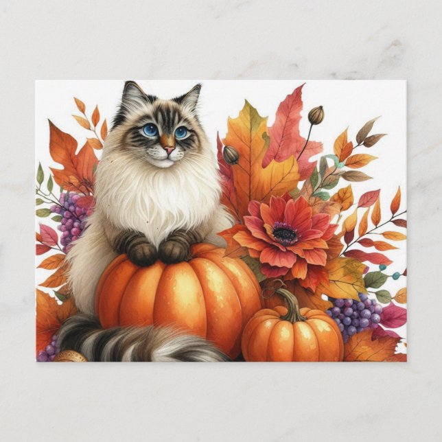 Autumn Leaves Pumpkins and Ragdoll Cat Postcard (Front)