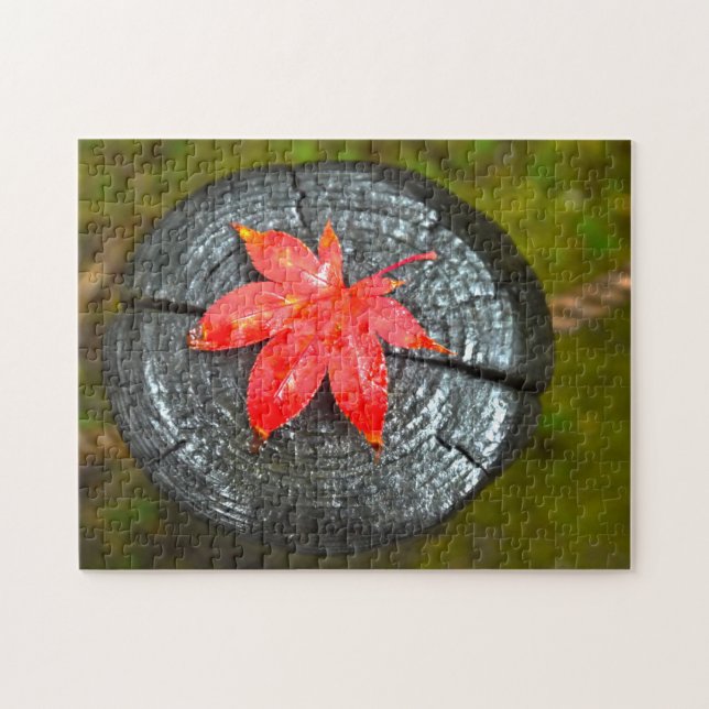 Autumn Leaves Quebec. Jigsaw Puzzle (Horizontal)
