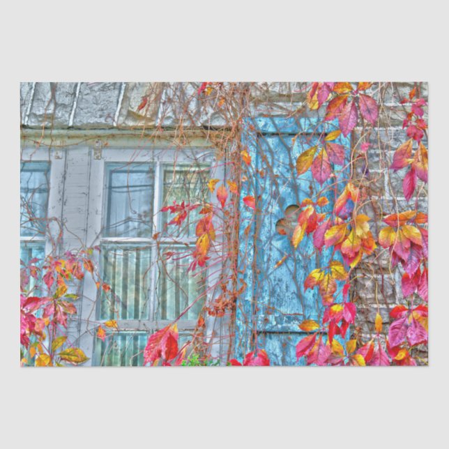 Autumn Leaves Red Blue Antique Country Window Tissue Paper (Front)