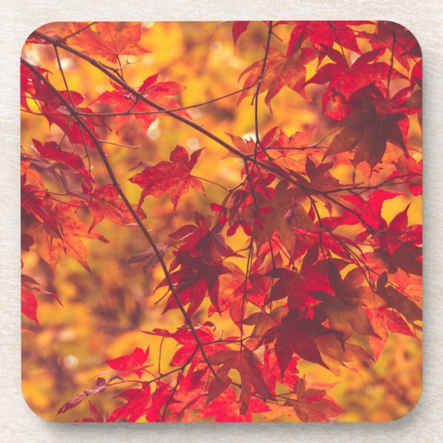 Autumn Leaves Red Fall Colour Coaster (Front)
