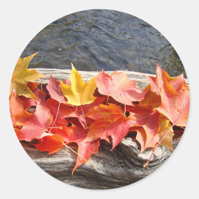 Autumn Leaves River Driftwood stickers Fall Trees (Front)