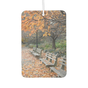 Autumn Leaves Riverside Park New York City NYC Air Freshener