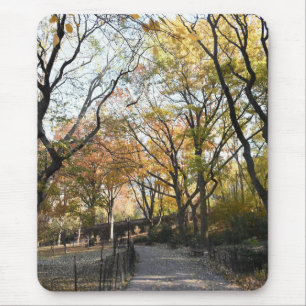 Autumn Leaves Riverside Park New York City NYC Mouse Pad