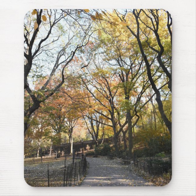 Autumn Leaves Riverside Park New York City NYC Mouse Pad (Front)