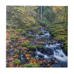 Autumn Leaves Scattered Along Gorton Creek Tile