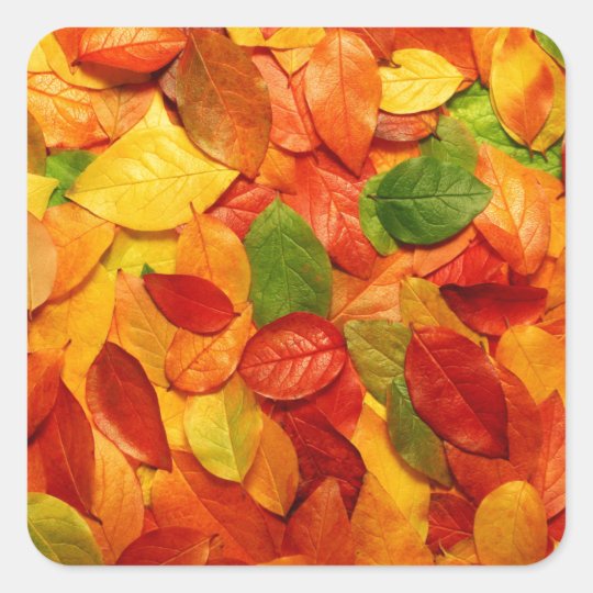 Autumn Leaves Square Sticker