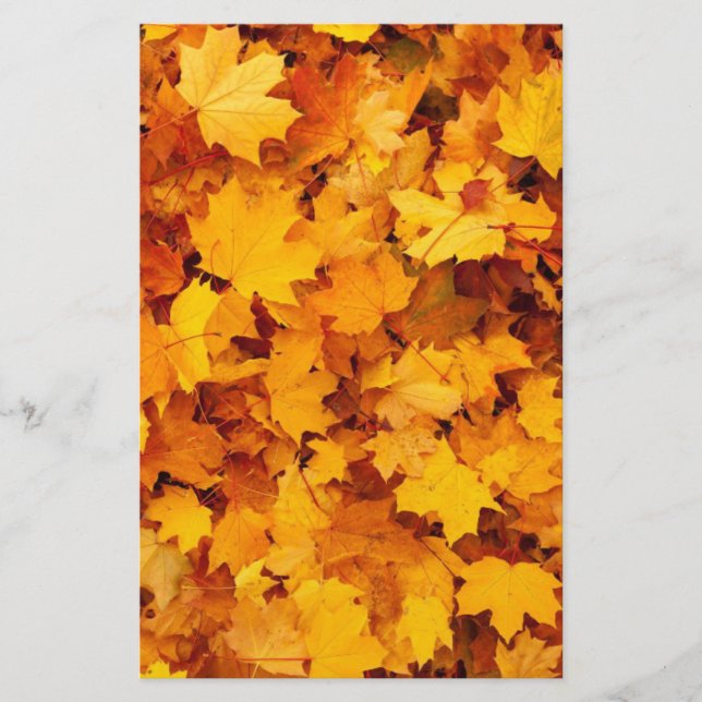 Autumn Leaves Stationery (Front)