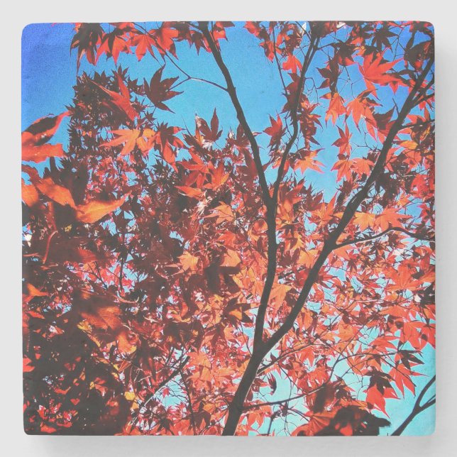 Autumn leaves stone coaster (Front)
