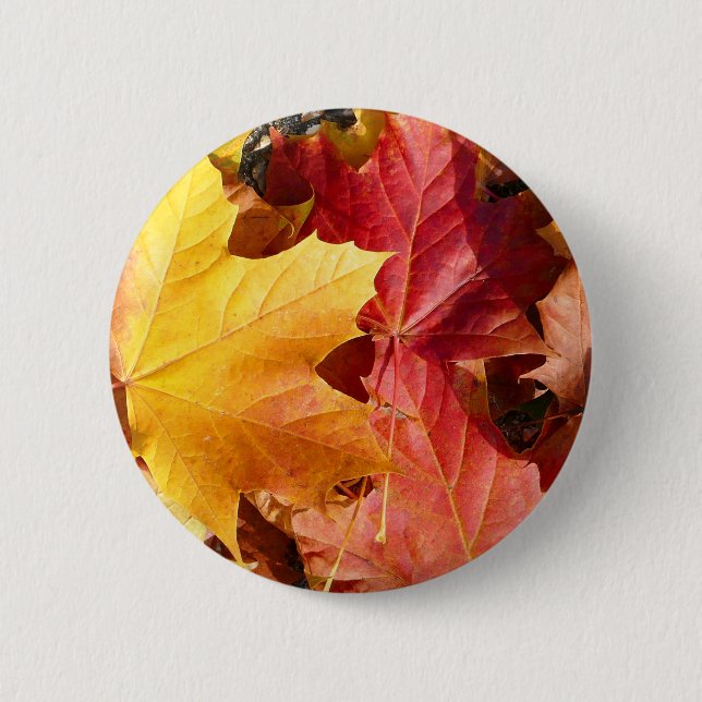 Autumn leaves - Stunning! 2 Inch Round Button (Front)