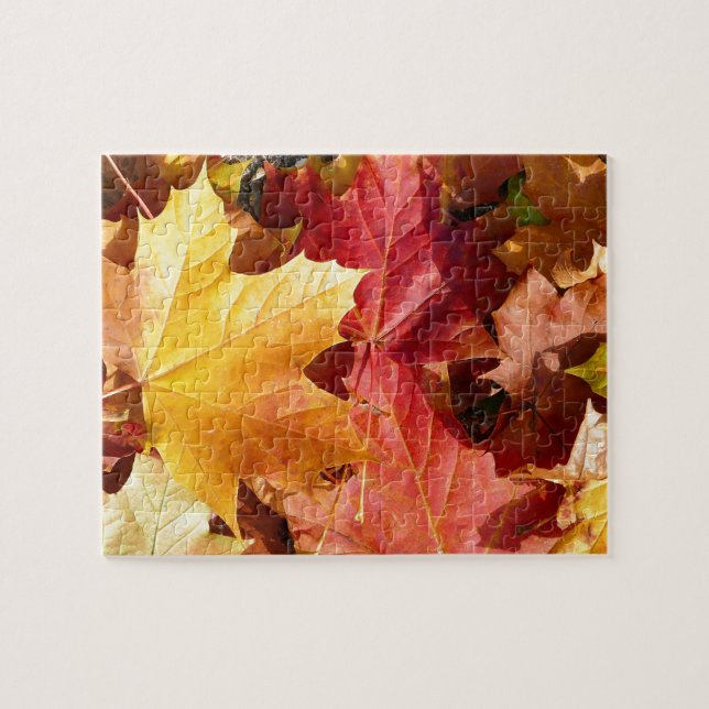 Autumn leaves - Stunning! Jigsaw Puzzle (Horizontal)