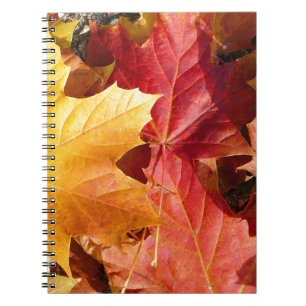 Autumn leaves - Stunning! Notebook