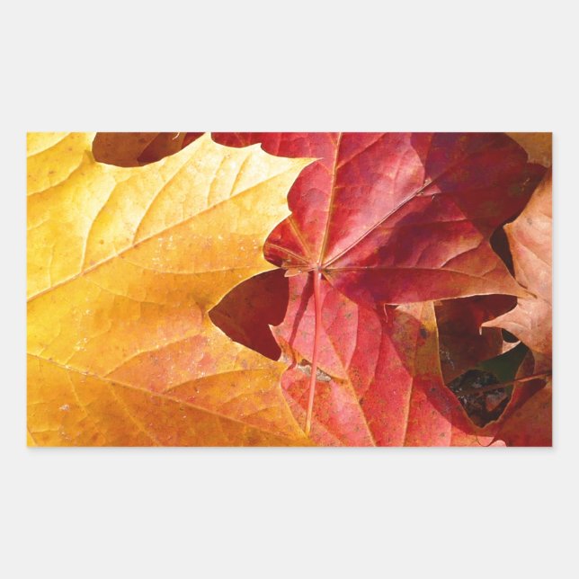 Autumn leaves - Stunning! Sticker (Front)