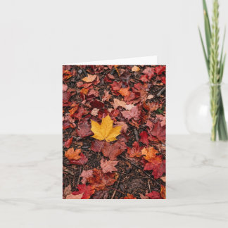 Autumn Leaves Thank You Card