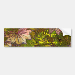 Autumn Leaves: Thanksgiving - Bumper Sticker
