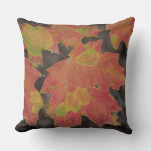 Autumn Leaves Throw Pillow