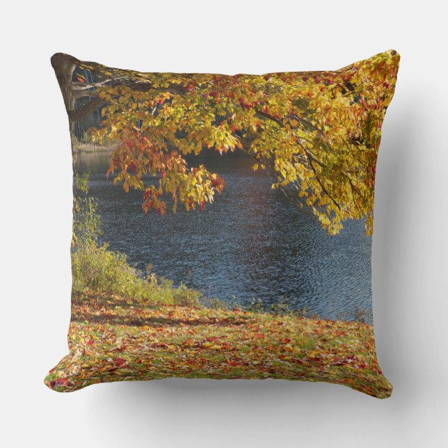 Autumn Leaves Throw Pillow (Front)