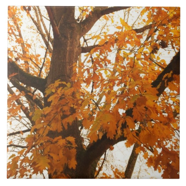 Autumn Leaves Tile (Front)