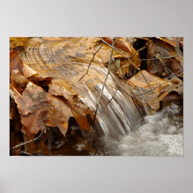 Autumn leaves waterfall Poster (Front)