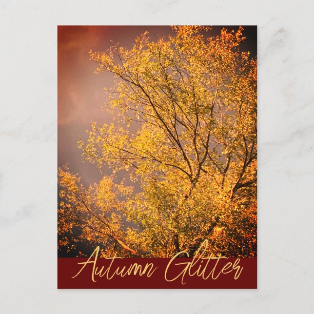 Autumn Light Glitters Postcard (Front)