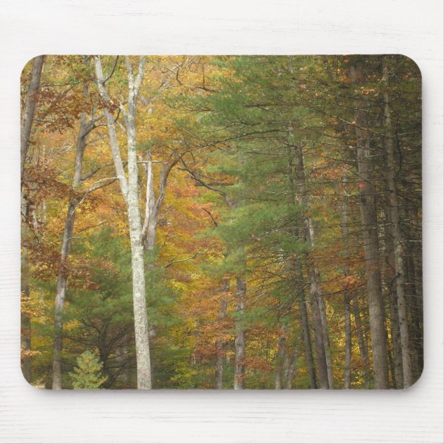 "Autumn Magic" Mouse Pad (Front)