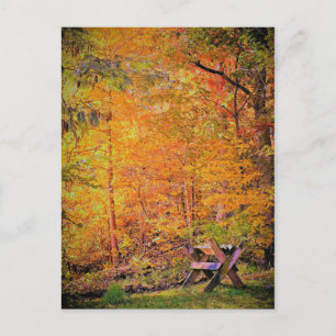 Autumn Magic Postcard
