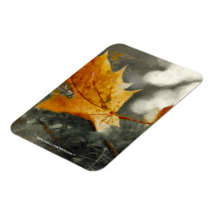 Autumn Magnet