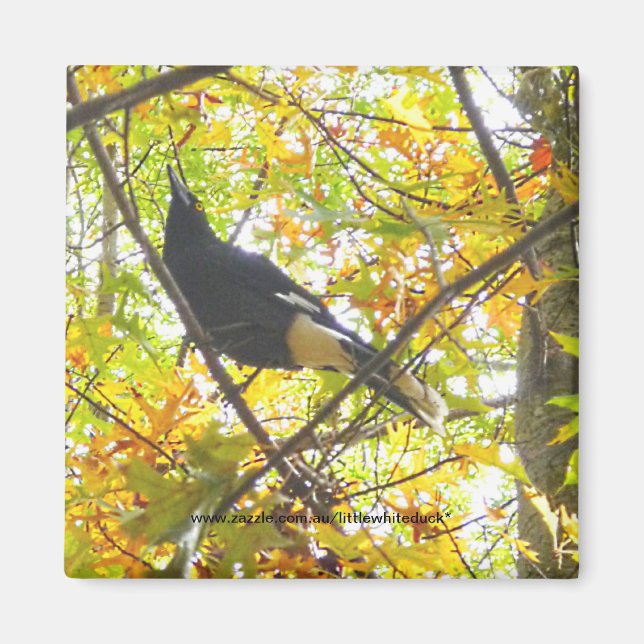 Autumn Magpie - Magnet (Front)