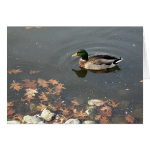 Autumn Mallard postage