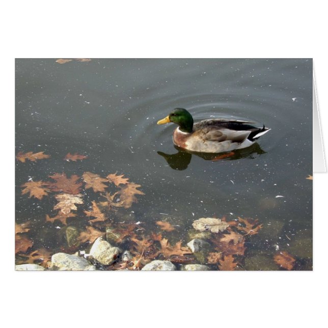 Autumn Mallard postage (Front Horizontal)