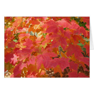 Autumn Maple card