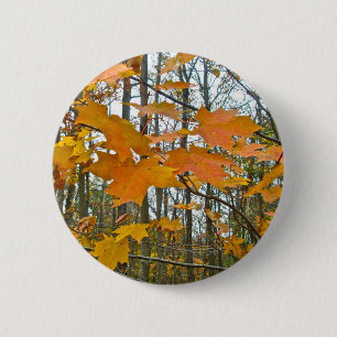 Autumn Maple Foliage 2 Inch Round Button
