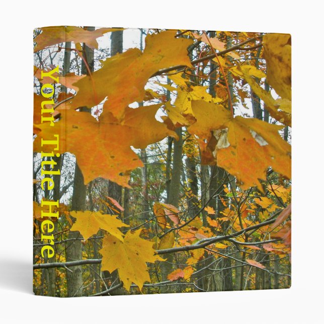 Autumn Maple Foliage Binder (Front/Spine)