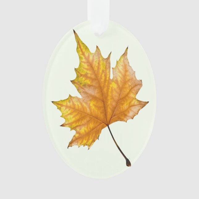 Autumn maple leaf ornament (Front)