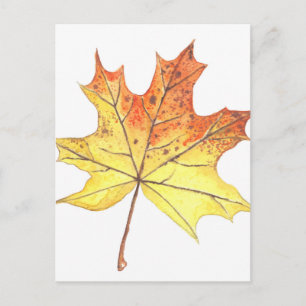 Autumn maple leaf postcard