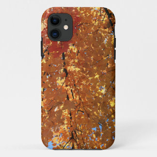 Autumn Maple Leaves                                iPhone 11 Case