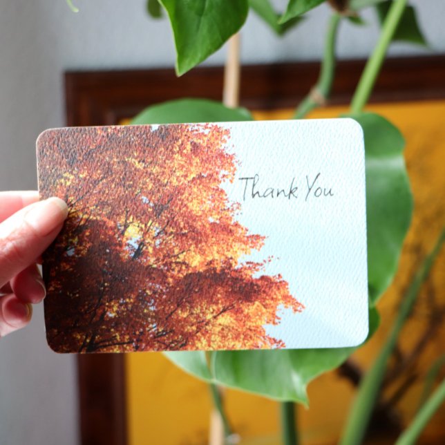 Autumn Maple Leaves Holiday Card (Creator Uploaded)