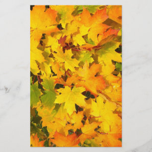 Autumn Maple Leaves Scrapbook Paper