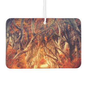 Autumn maple tree forest fall woods foliage air freshener