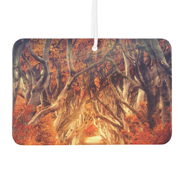 Autumn maple tree forest fall woods foliage air freshener (Front)