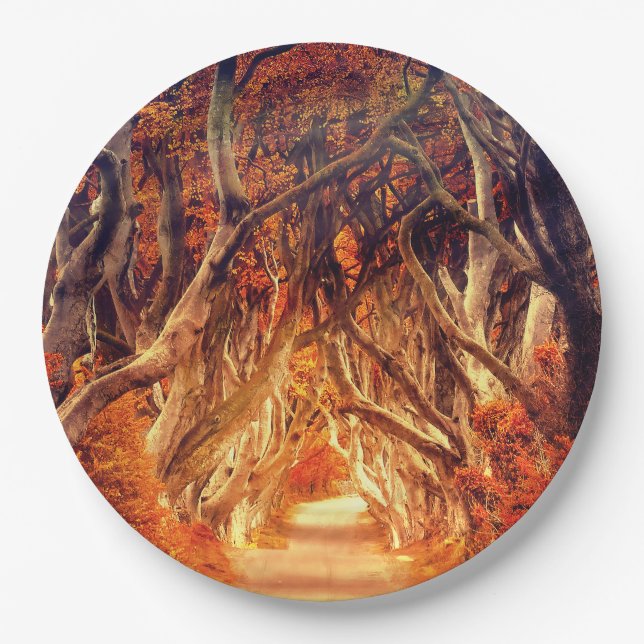 Autumn maple tree forest fall woods foliage  paper plate (Front)