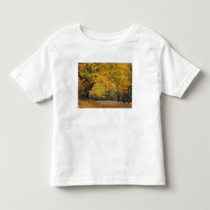 Autumn maple tree overhanging country lane, toddler t-shirt