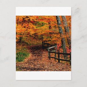 Autumn Mccormick Creek State Park Indiana Postcard