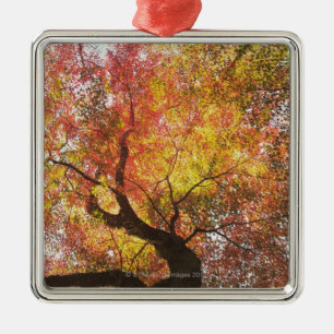 Autumn Metal Ornament