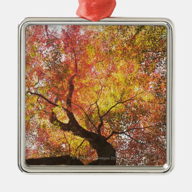 Autumn Metal Ornament (Front)